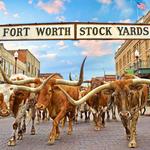 Fort Worth Stockyards