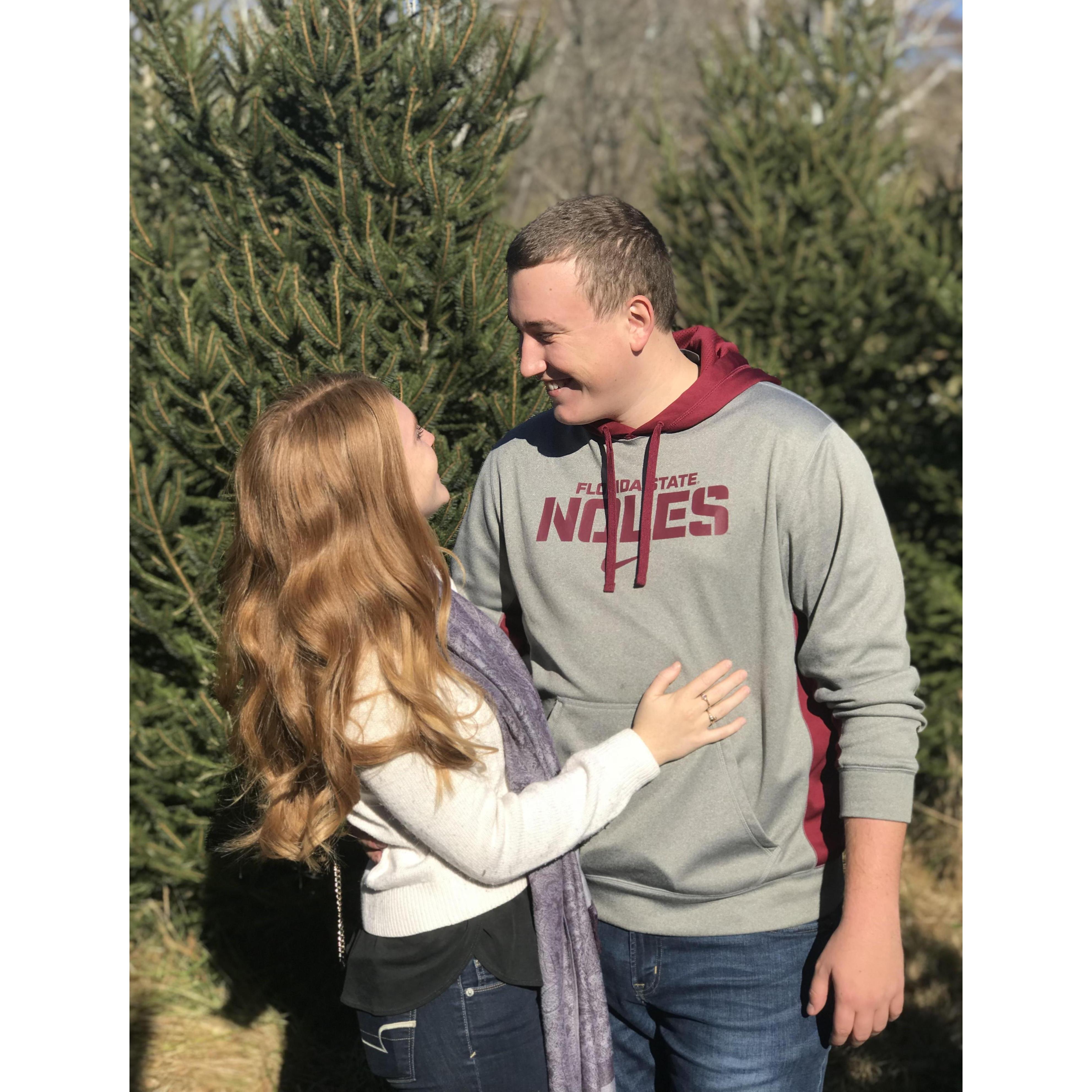 Forcing TJ to model as we choose a Christmas tree