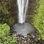 Na Ala Hele: Manoa Falls Trail