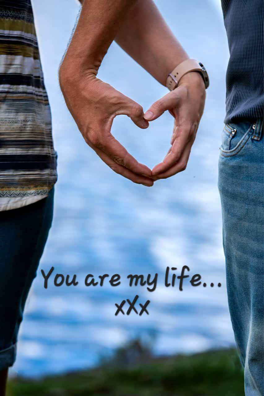 The Wedding Website of Zardo Verster and Elzet Smit
