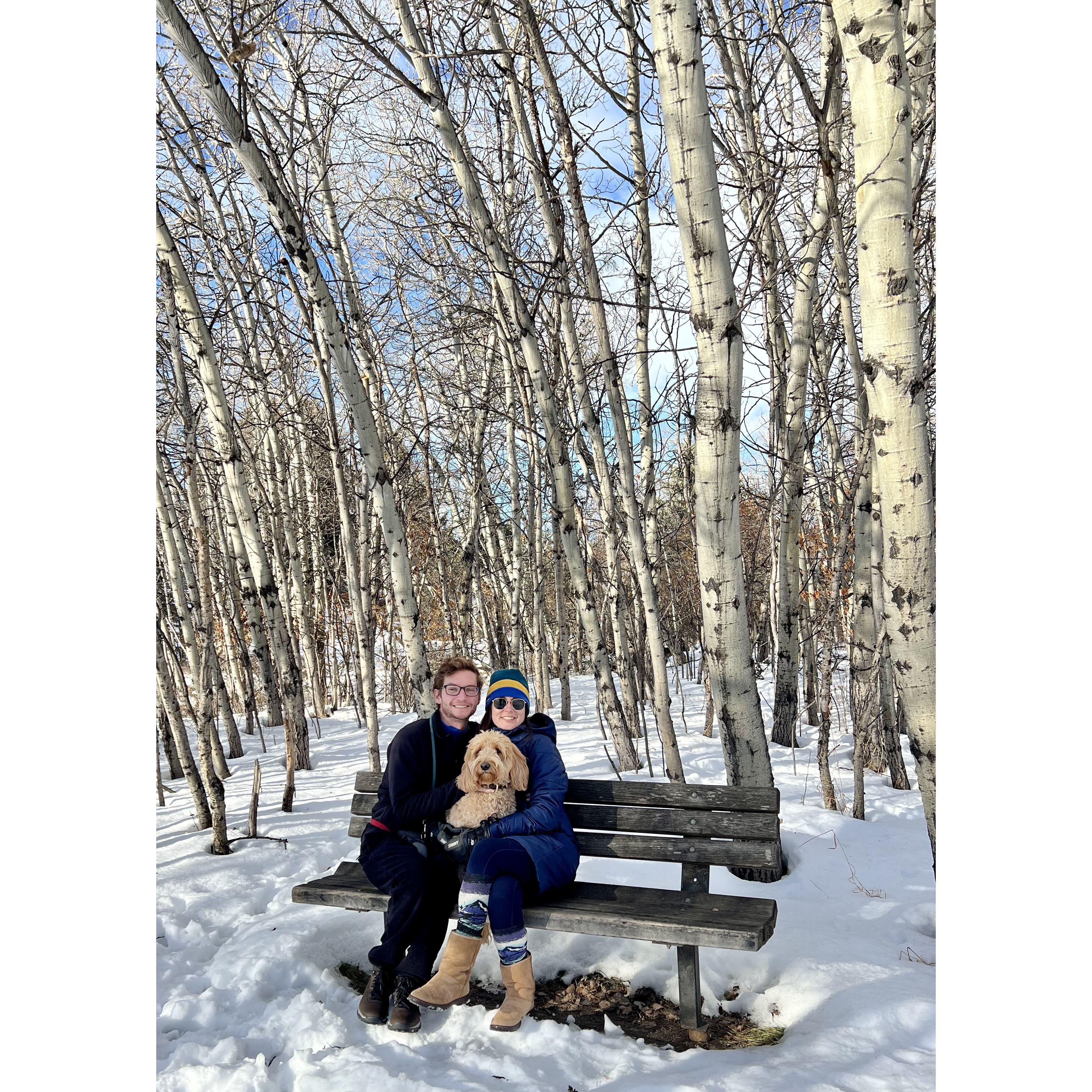 Winters in Bozeman