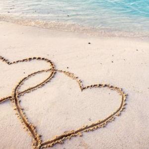 Honeymoon Fund