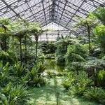 Garfield Park Conservatory