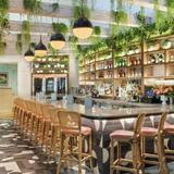 Sadelle's Coconut Grove