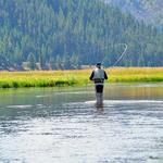 Fly Fishing