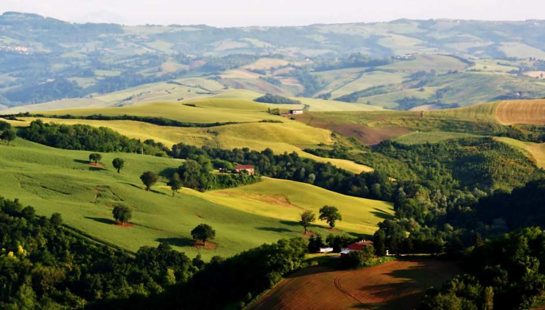 The Wedding Website of Andrea Falà and Michele Ghiacci