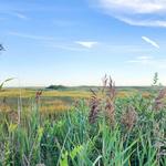 Stewart B. McKinney National Wildlife Refuge