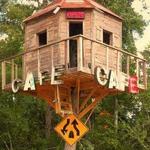 The Treehouse Cafe