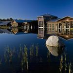 The Wild Center Museum
