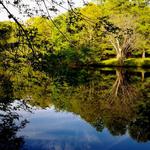Jamaica Plain (where Siri lived & worked for 5 years!)