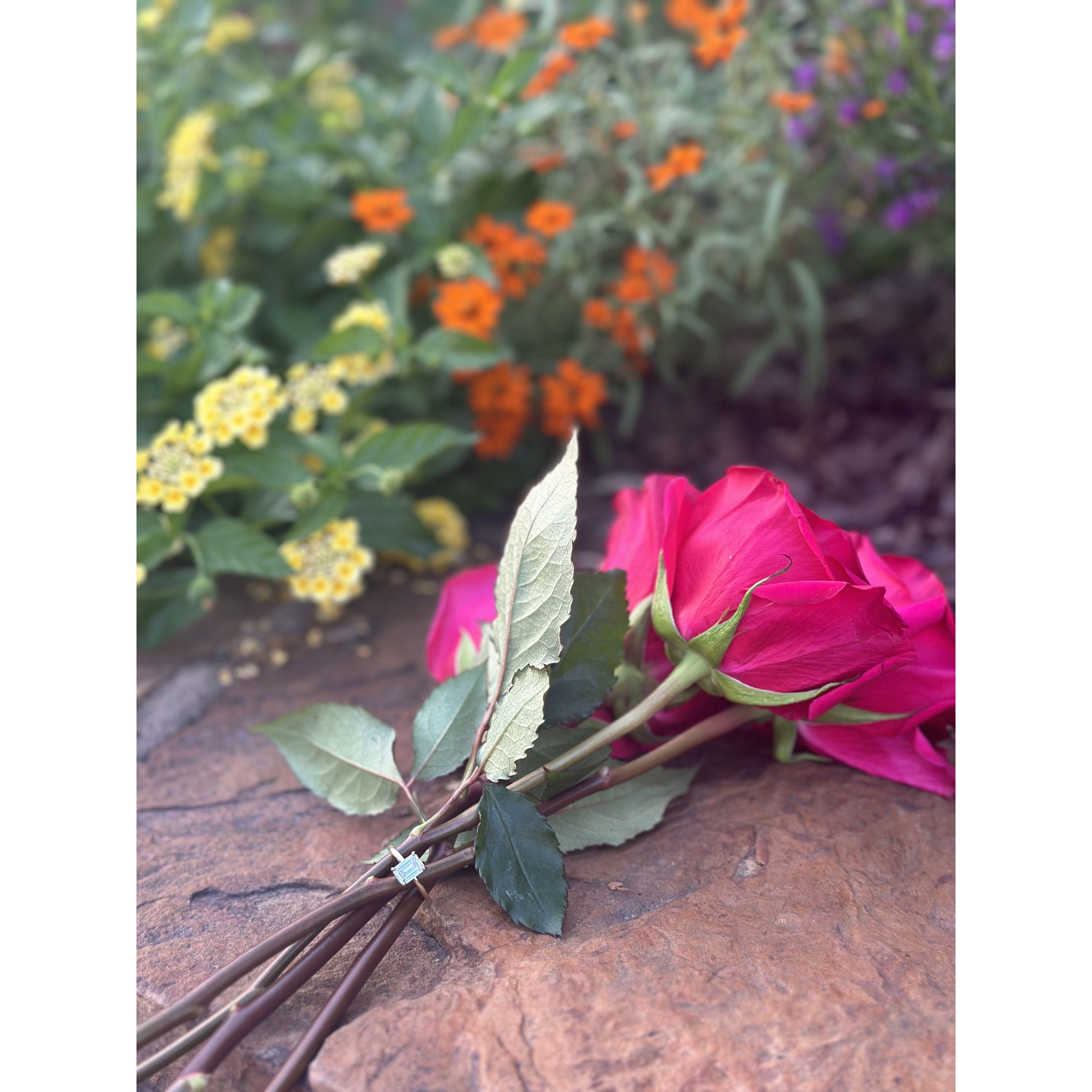The restaurant where Grant proposed (Rolando's in Fayetteville) made the proposal so perfect with roses by the table and romantic music. They let us take the roses afterwards!