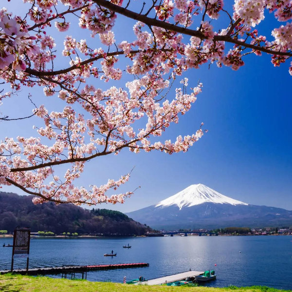 Onsen Stay in Kawaguchicko