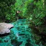 Kelly Park - Rock Springs