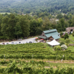 Grandfather Vineyard & Winery