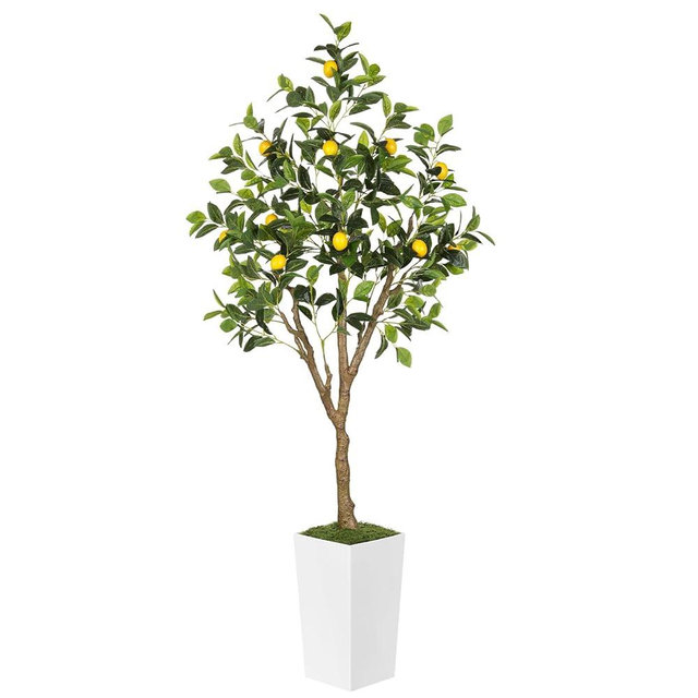 PHYTREE 6FT Artificial Lemon Tree with Pot, Fake Lemon Tree with White Tall Planter, Faux Lemon Plant with Realistic Fruits and Silk Leaves, Artificial Plants Indoor for Home Office Kitchen Decor