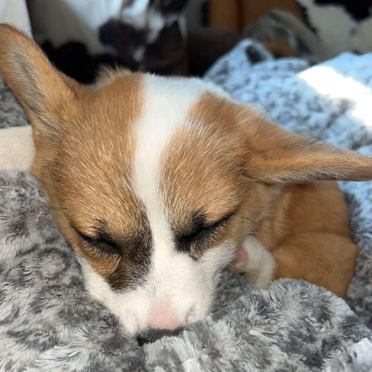 Baby Bingo 🥰