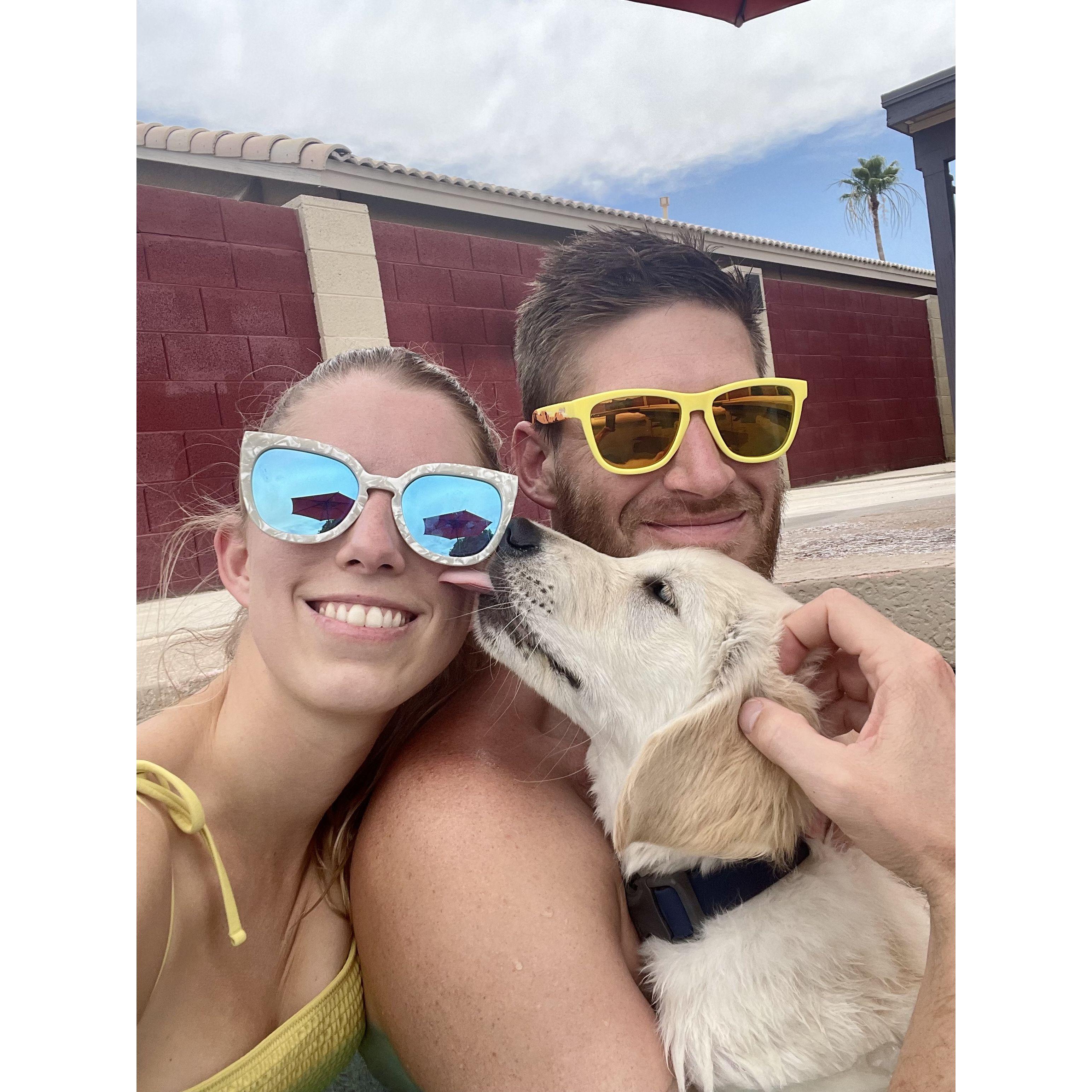 Dog days of summer