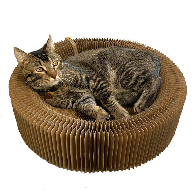 BobbyPet Cat Scratcher Lounge Bed - Collapsible Round Shape for Big cat