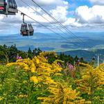 Scenic Lift Rides