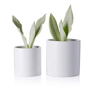 Greenaholics Plant Pots - 5.9 + 4.7 Inch Matt Ceramic Planter with Drainage Hole for Flower, Cactus, Succulent Planting, Set of 2, White