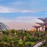 Gardens By The Bay, Singapore
