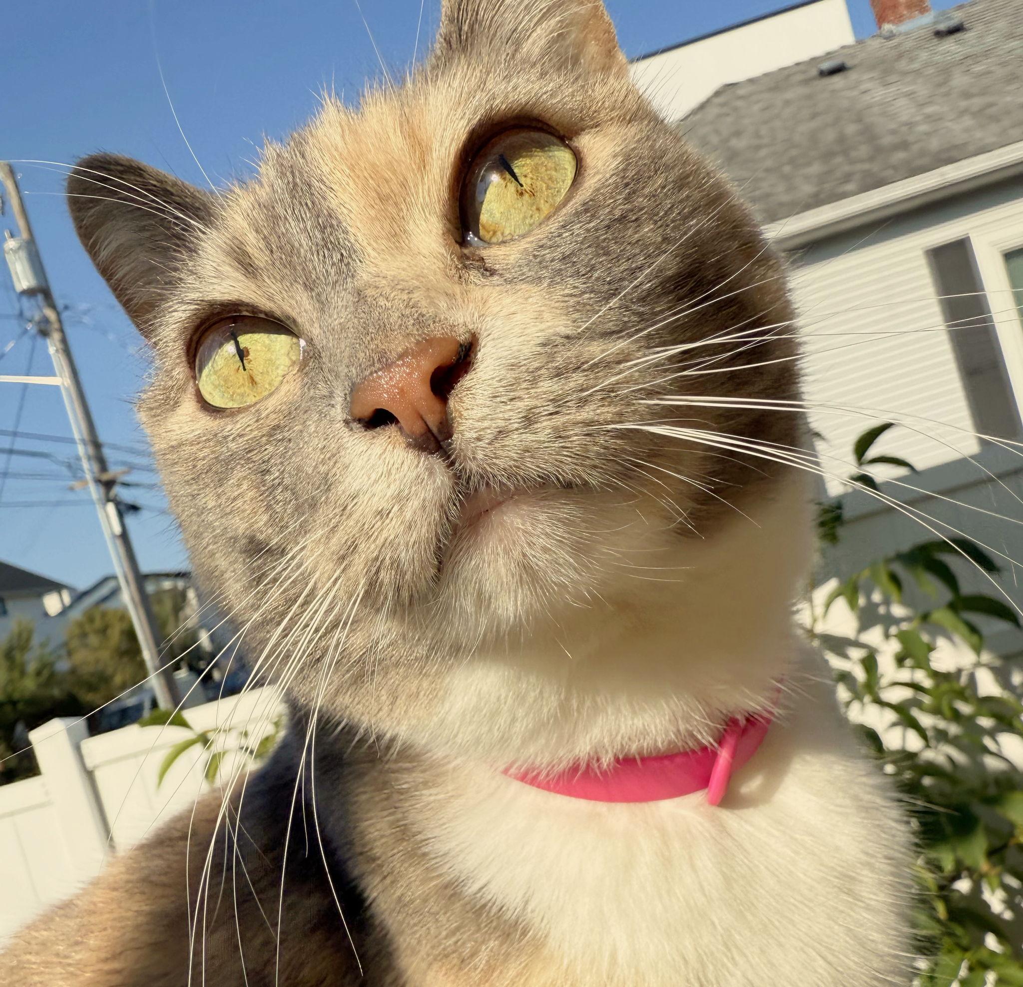 The Wedding Website of Avery Douglas and Joseph Walvatne