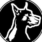 The Stray Dog