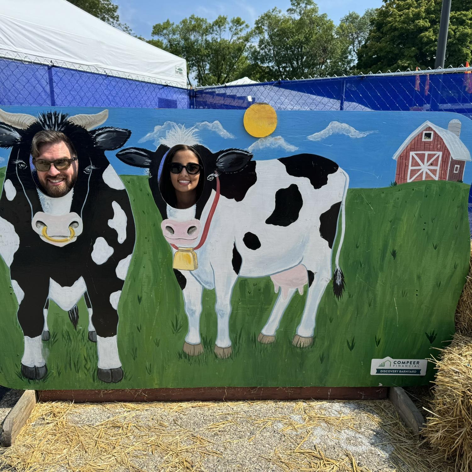 When in Wisconsin... become cows!