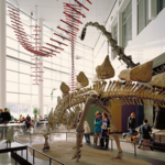 Minnesota Science Museum