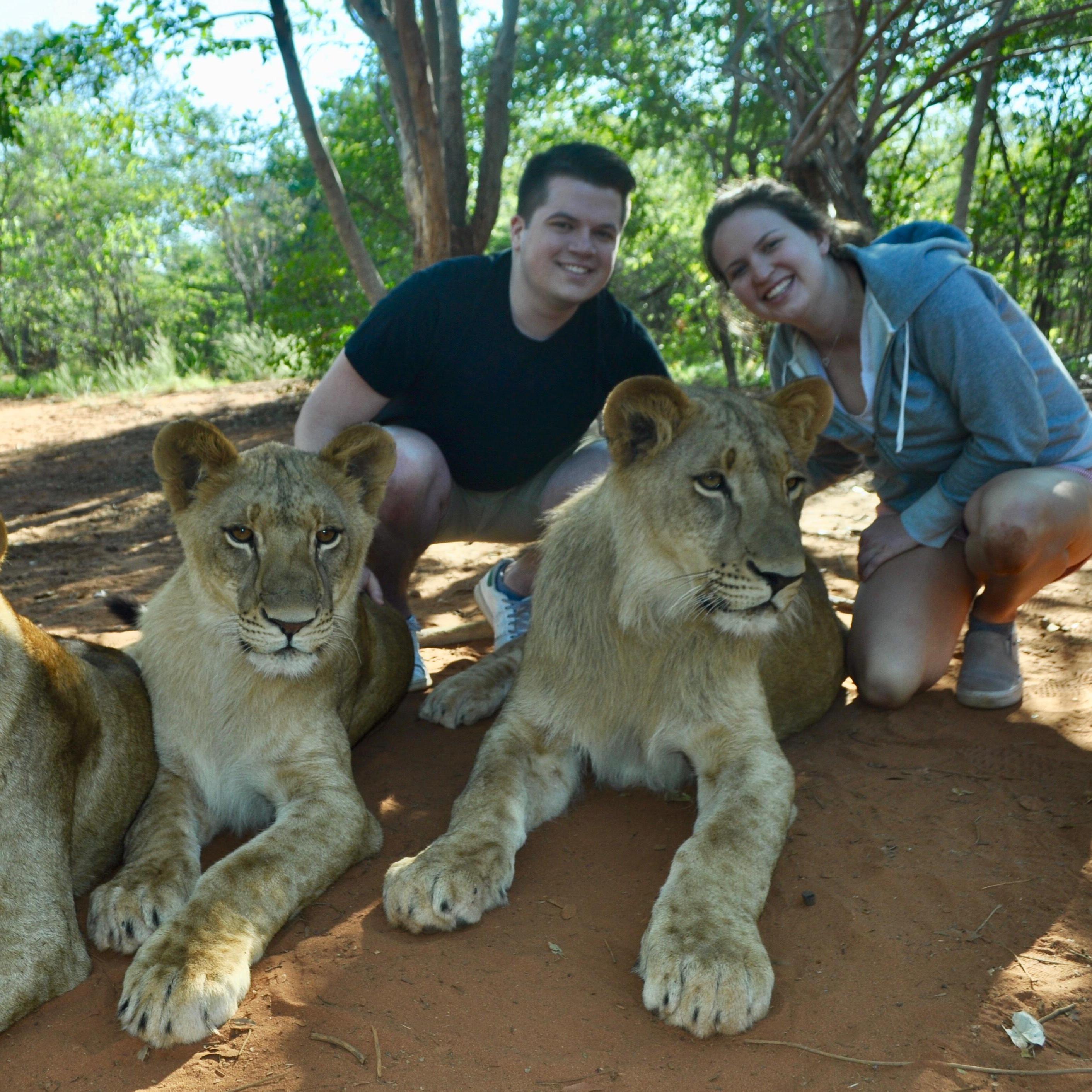 Hanging out with some lions