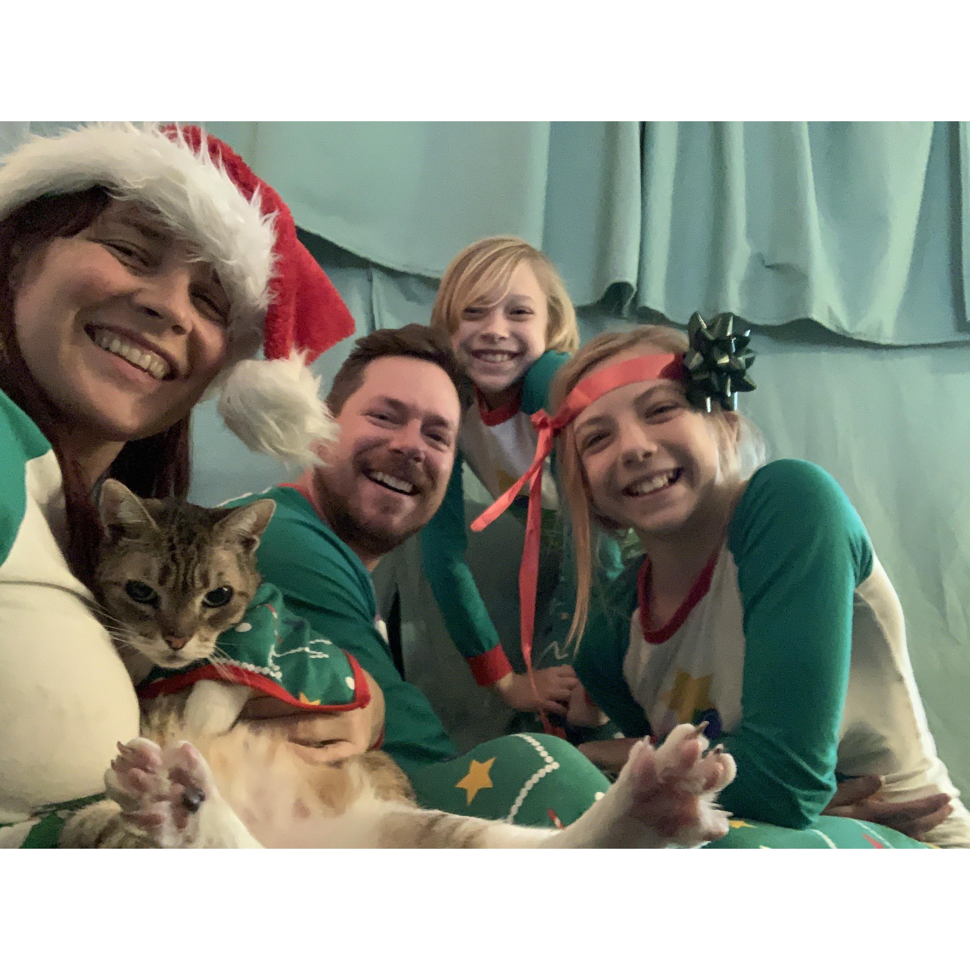 Christmas with the Deeley cat