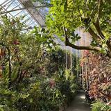 Krohn Conservatory
