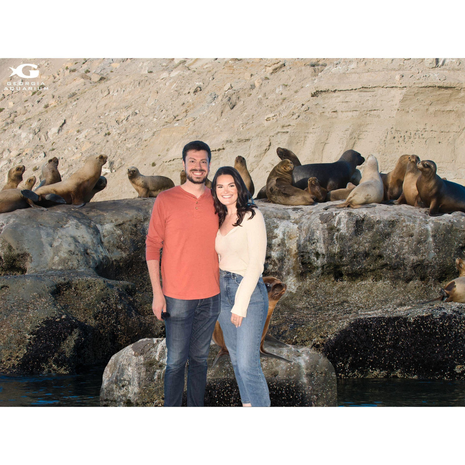 Summer Date at the GA Aquarium