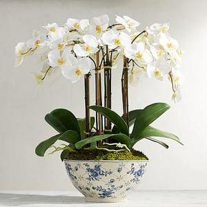 Faux Orchid in Rose Trellis Bowl