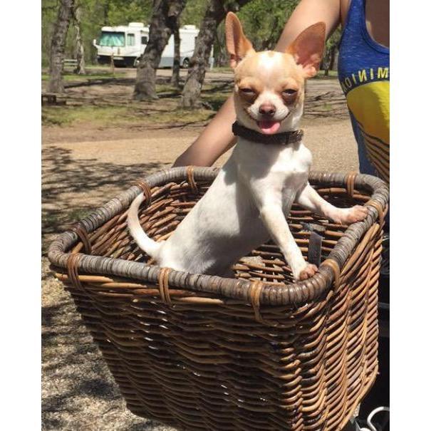 Our first camping trip with our little kruz!