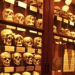 The Mütter Museum at The College of Physicians of Philadelphia