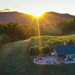 Valhalla Vineyards