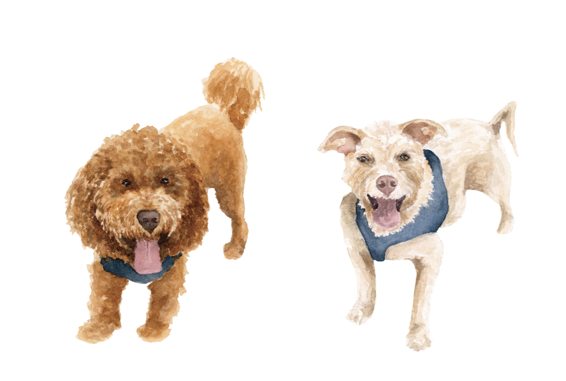 The Wedding Website of Elizabeth Drake and Trevin Glasgow