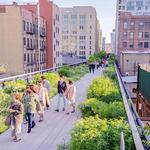 The High Line
