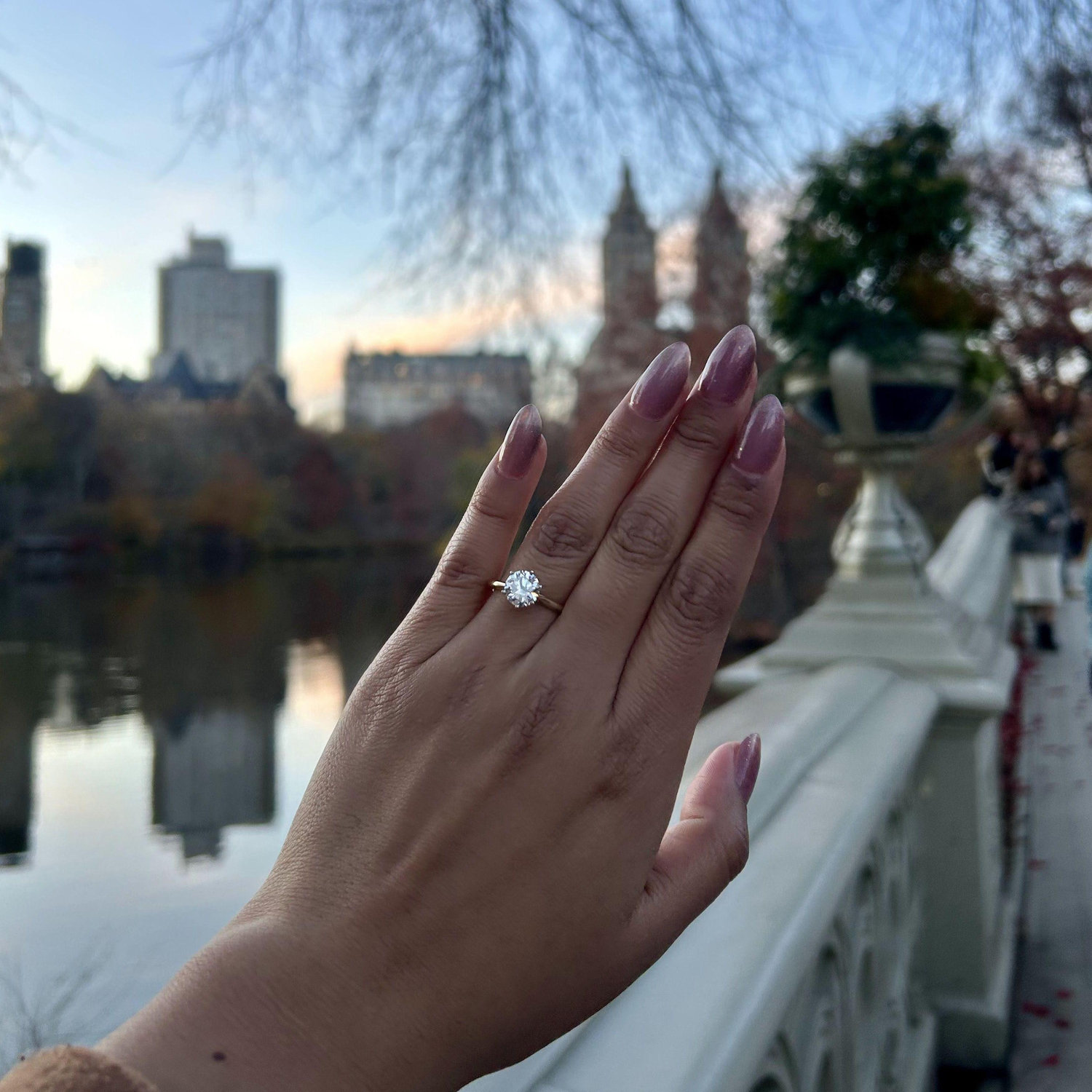 The ring 💍