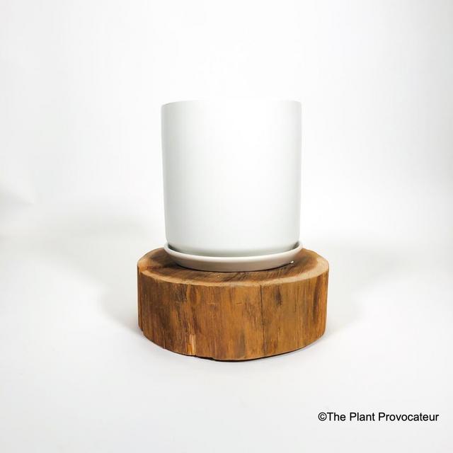 Smooth White Mod Cylinder Pot w/Saucer - Large