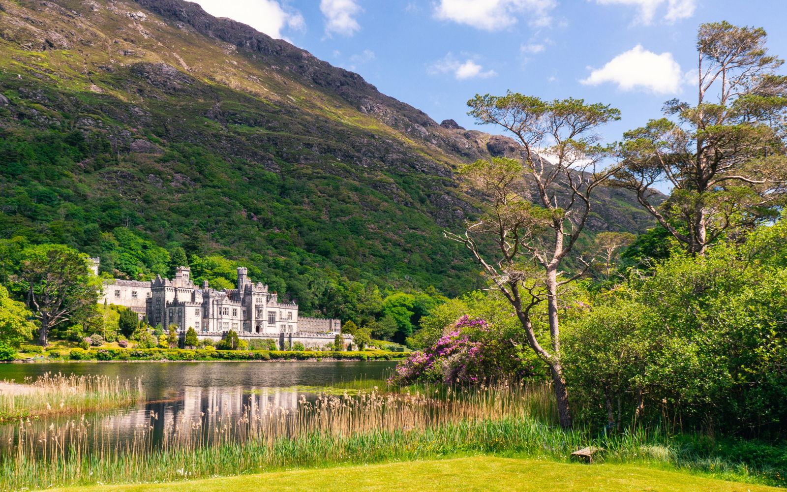 2d537ecb-4b74-4591-8c23-b74bea323b1c