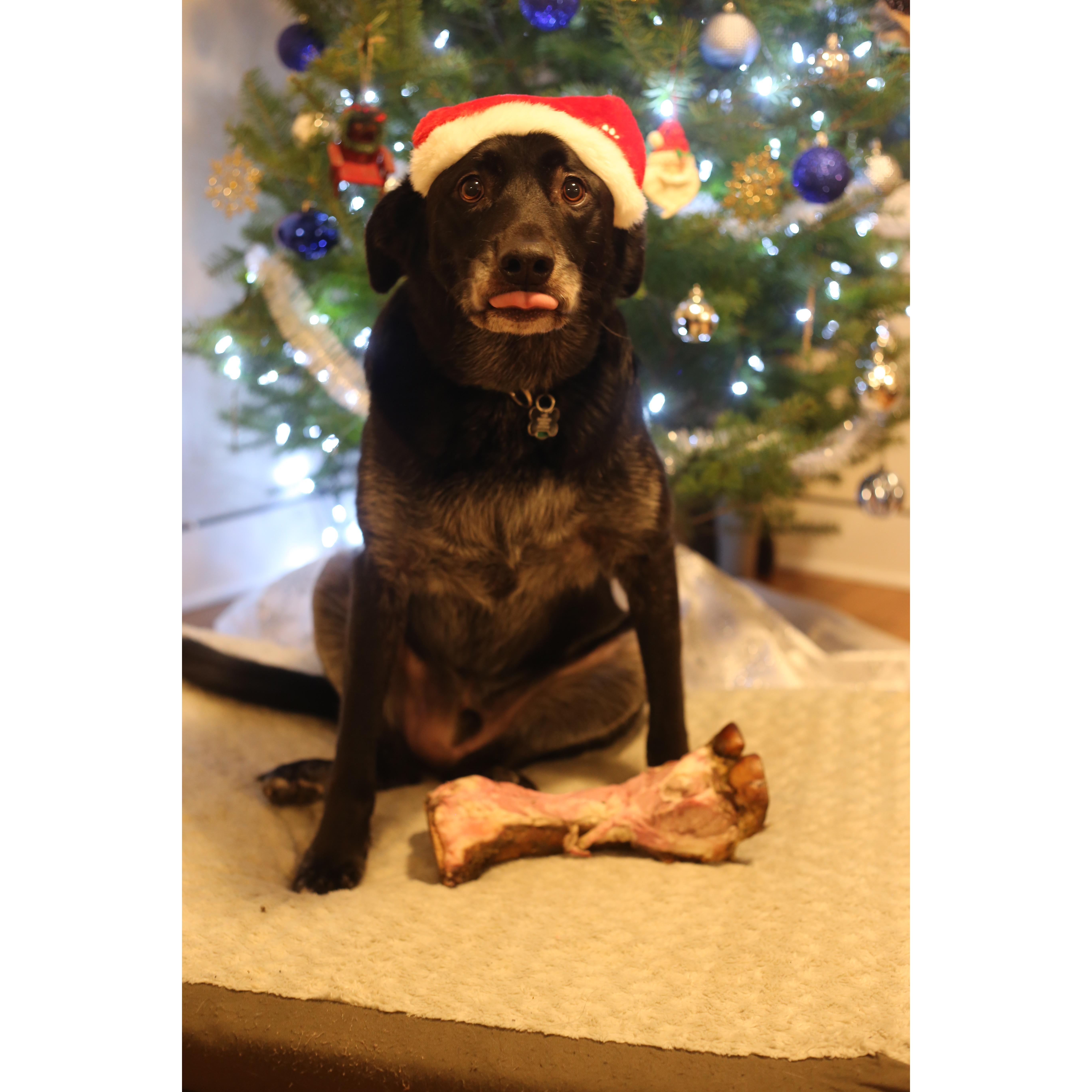 Tomahawk steak bone from Uncle Max and Auntie Sandy