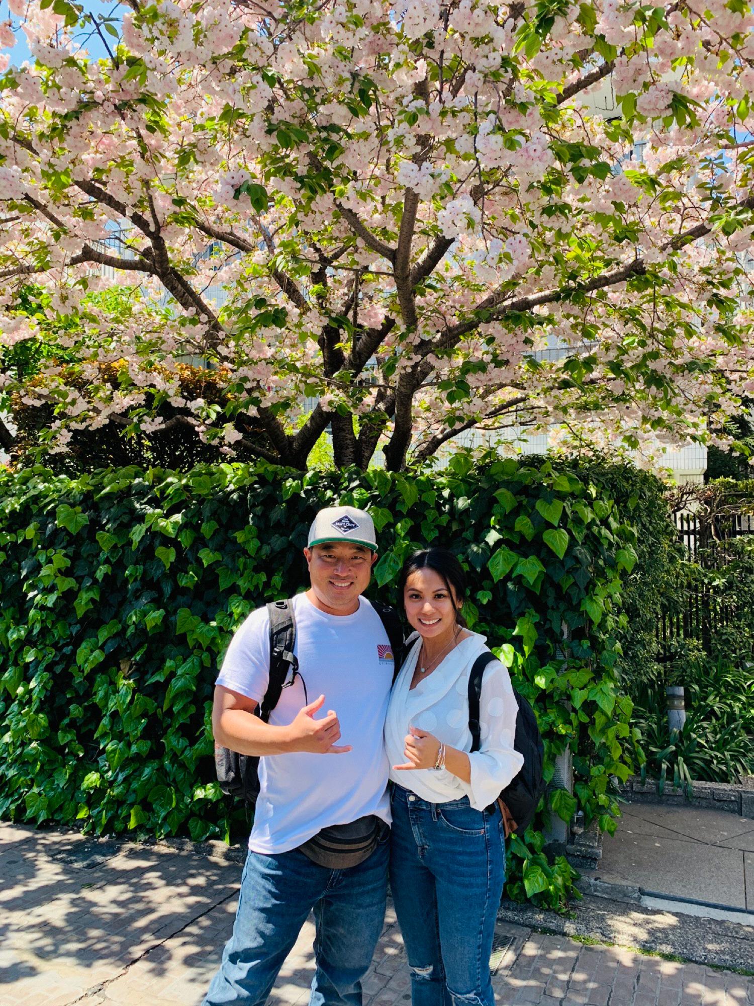 Cherry Blossom in Tokyo 2019