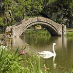 City Park