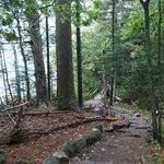 Wolfe's Neck Woods State Park