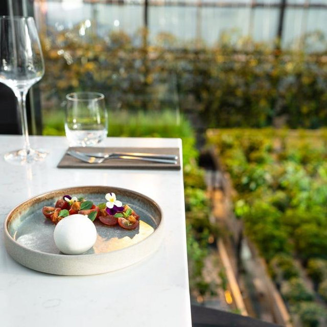 Honeymoon: Dinner at Sol, Iceland