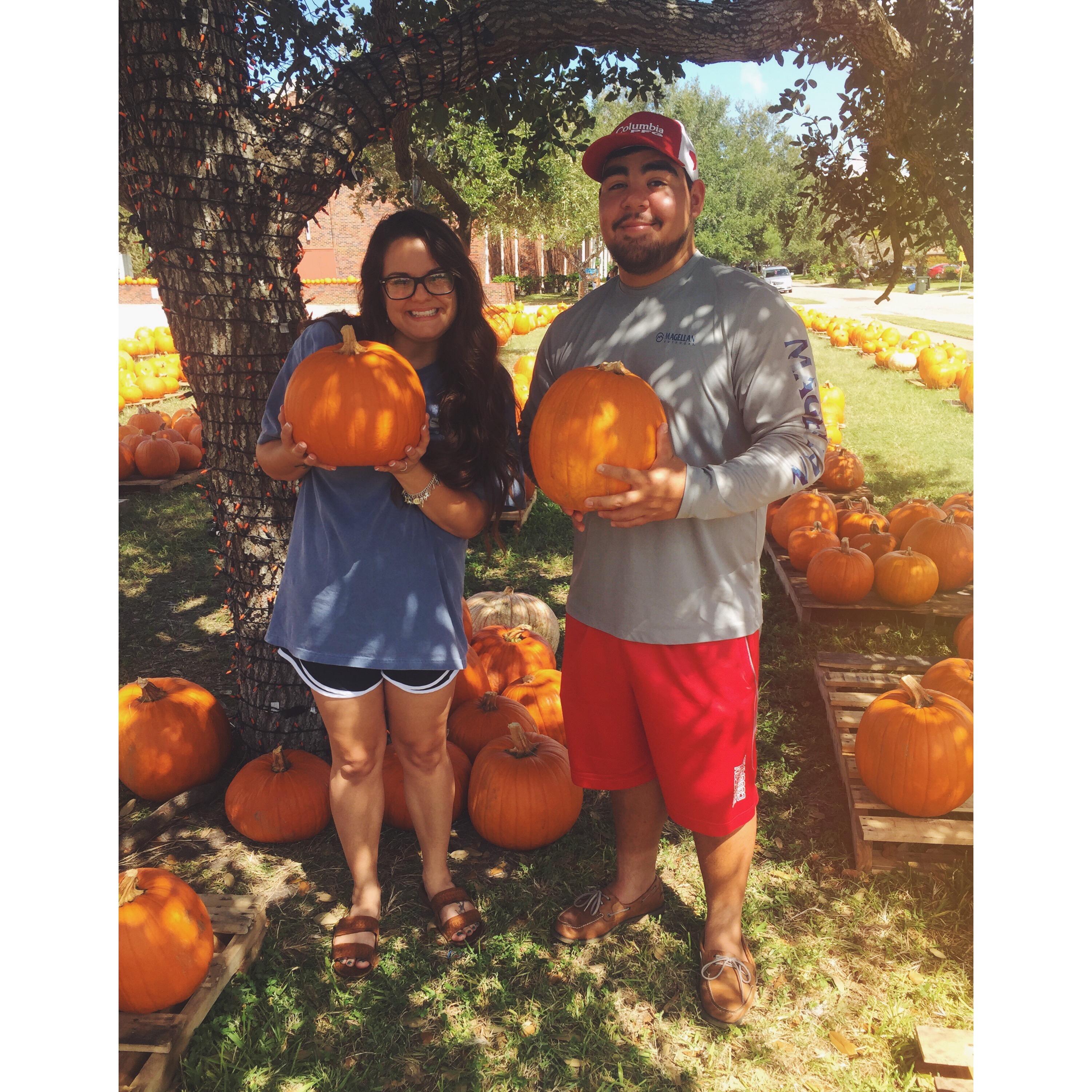 Pumpkin patch Corpus Christi, TX 10/16/2016