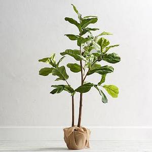 Faux Potted Fiddle Leaf Tree, Small - 5ft