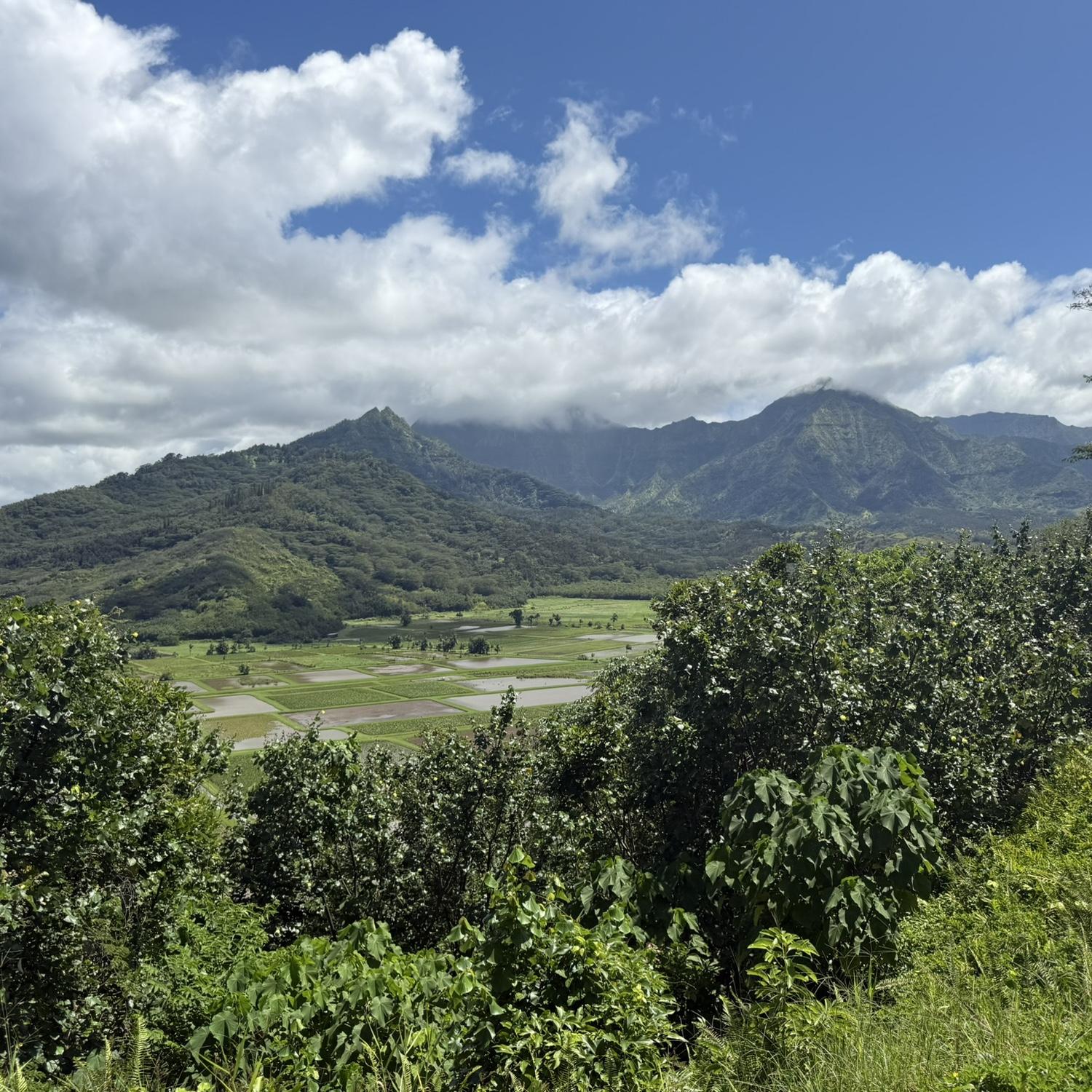 Beautiful Kauai